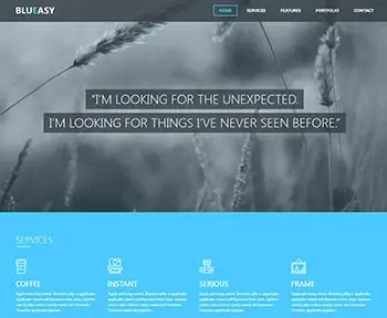 Blueasy Wordpress website development